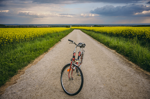 Bicycle parked on road amidst oilseed rape field against sky during springtime