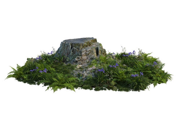 istock Logs decorate the garden on a white background 1413076198
