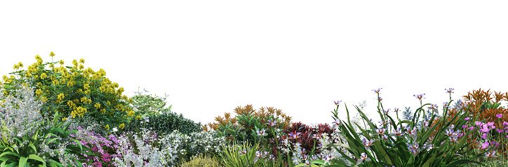 Colorful summer flowerbeds and green lawn.