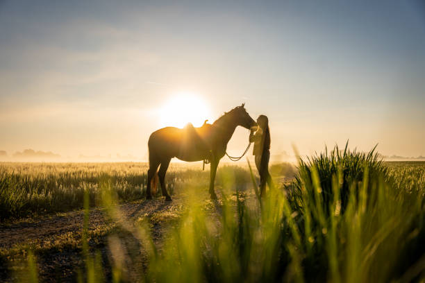 Full length of woman embracing horse while standing on field during sunset stock photo