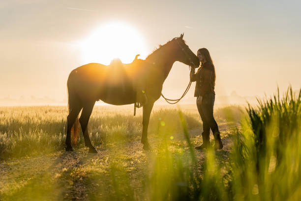 istock Affectionate woman kissing horse while standing on grassy field during sunset 1413079299
