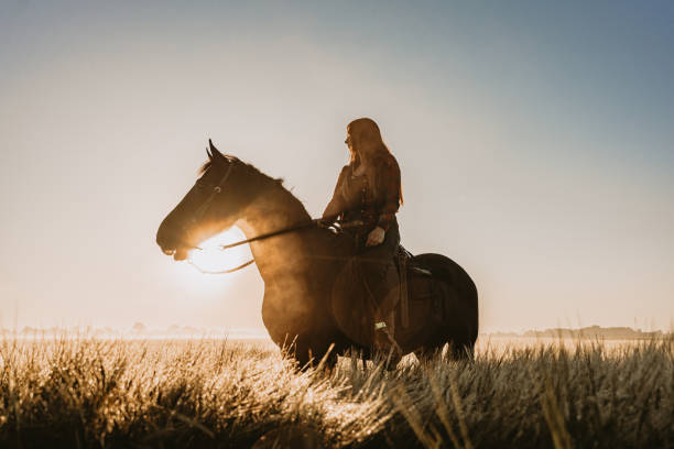 Young woman riding horse amidst wheat field during sunny day stock photo