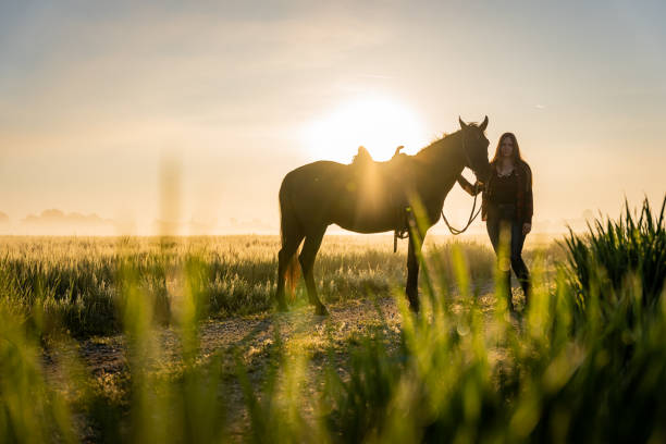 istock Woman standing with horse on grassy field during sunset 1413079363
