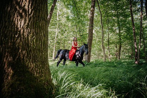 Woman wearing red dress riding horse amidst trees on grassy field in forest