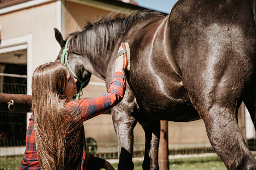 Woman with long hair grooming her horse in ranch during sunny day