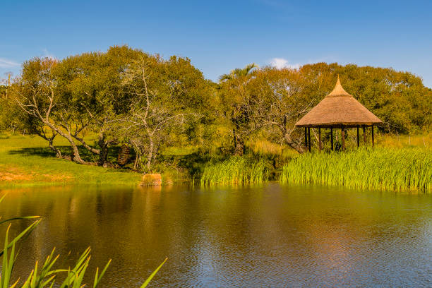 istock Lake at countryside landscape 1413080380