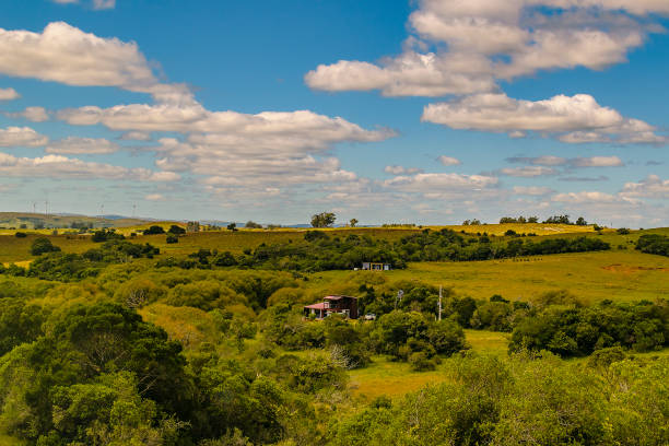 Aerial view countryside landscape environment, maldonado, uruguay