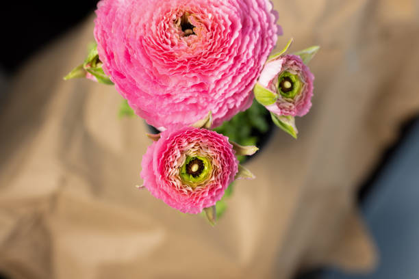 istock High angle view of Ranunculus flowers blooming in pot 1413082955