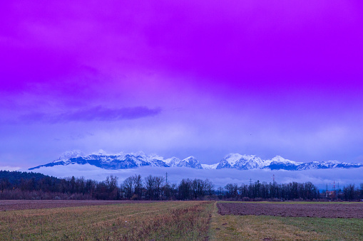 Scenic view of grassy landscape and snowcapped mountains against cloudy sky