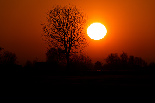 Silhouette of runner. Outdoor cross-country running. Pensive young man is taking rest after running in the nature during golden sunset.