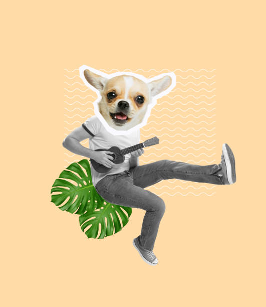 Contemporary art collage. Cheerful man with little cute dog's muzzle playing guitar, having fun on orange background