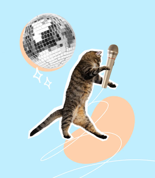 Contemporary art collage. Funny design with cat and microphone performing at disco party isolated on blue background