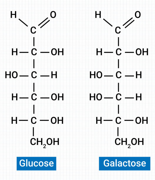 ilustraciones, imágenes clip art, dibujos animados e iconos de stock de estructura química de la glucosa y la galactosa - molecule glucose chemistry biochemistry
