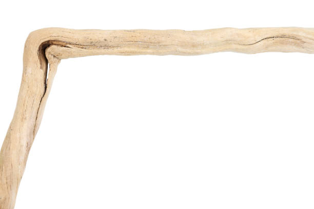 istock Part of driftwood isolated on white 1413088728