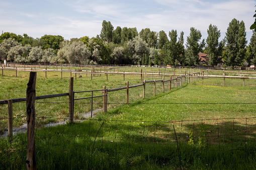 Farm land on a summer day