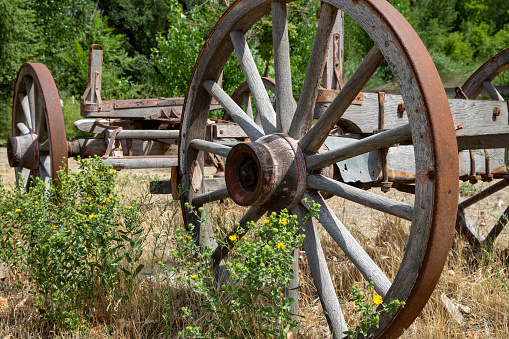 wagon wheel and weeds