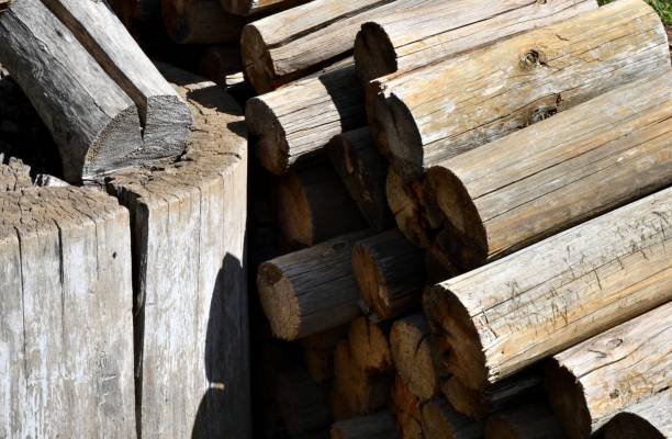 istock Harvesting firewood for the winter 1413089946