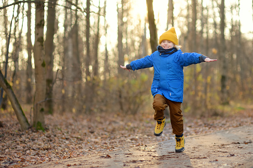 Cheerful child during walk in the forest on a sunny autumn day. Preschooler boy is having fun while walking through the autumn forest. Active family time on nature.