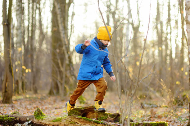 晴れた秋の日に森の中を散歩中の陽気な子供。未就学児の男の子は紅葉の森を歩きながら楽しんでいます。自然の中での家族の時間。 - 13414 ストックフォトと画像