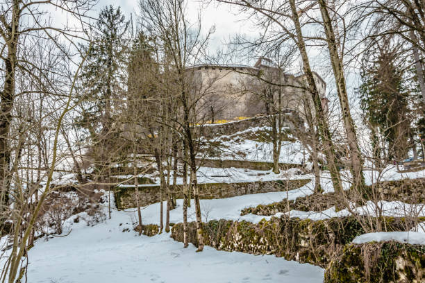 bled castle - castle slovenia winter snow stock-fotos und bilder