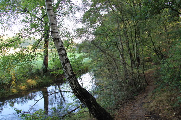 istock Hiking path next to a little creek 1413092832
