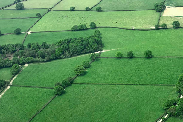 Patchwork landscape of green fields as seen from an airplane