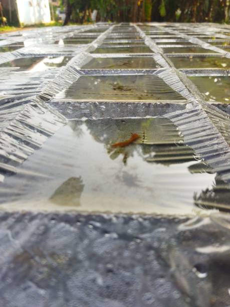 istock rainwater collected on the plastic covering the concrete iron frame 1413103313