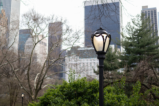 A street light during the day at Central Park with skyscrapers in the Midtown Manhattan skyline in the background in New York City