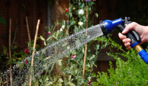 A hosepipe being used in summertime to water plants in a garden in the UK. A garden being watered in summertime with a hose pipe in the UK. garden hose stock pictures, royalty-free photos & images