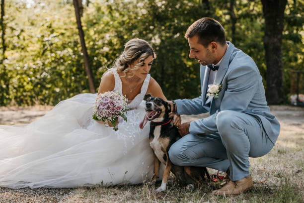 istock Young bride and groom playing with their dog in nature 1413106939