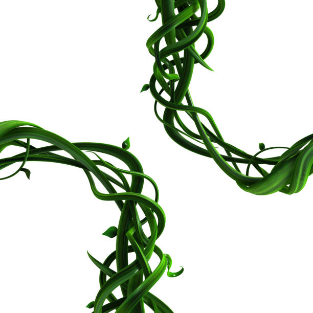 My Image 10