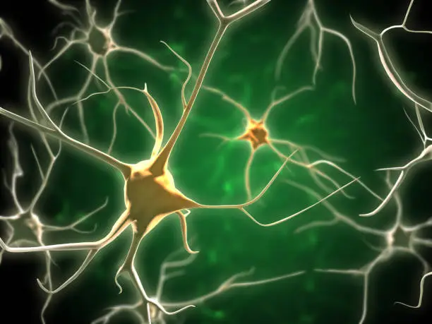 Neurons network in human brain. Digital illustration.