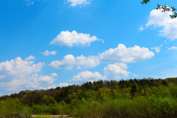 Mountain landscape in the Ukrainian Carpathians
