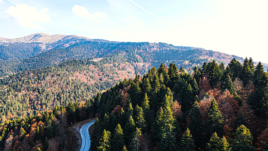 Bolu, Yedigöller Image slowly rising with a road and drone through the trees in autumn