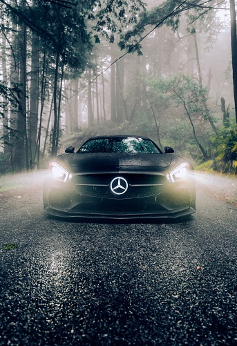 Renton, WA, USA
8/5/2022
Mercedes GT AMG in black parked in the forest