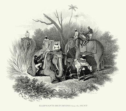 Very Rare, Beautifully Illustrated Victorian Antique Engraving of Elephants, hunters and guides returning from a hunting part Antique Illustration, Published 1853. Source: Original edition from my own archives. Copyright has expired on this artwork. Digitally restored.