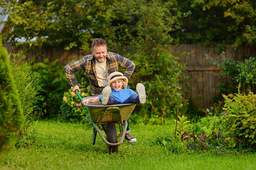 Happy little boy having fun in a wheelbarrow pushing by dad in domestic garden on warm sunny day. Child enjoys family time. Active outdoors games for family with kids in summer.