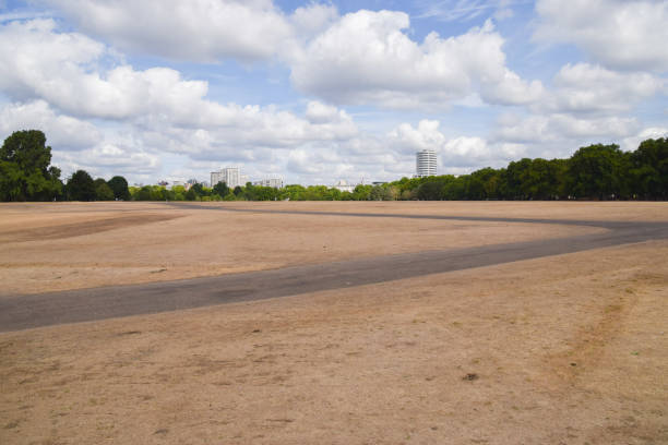 istock Parched Hyde Park in London during a hot, dry summer 1413121867