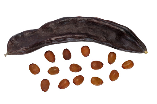 Sweet carob fruits, brown fleshy pods and seeds isolated on white background