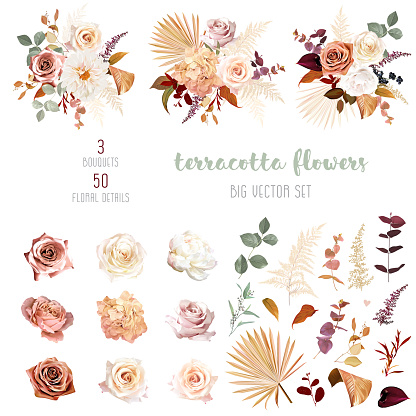 Rust orange, beige, white rose, burgundy anthurium flower, pampas grass, fern, dried palm leaves vector design big set.Trendy flowers. Gold, brown, rust, taupe. Elements are isolated and editable