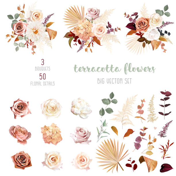 Rust orange, beige, white rose, burgundy anthurium flower, pampas grass, fern, dried palm leaves vector design big set Rust orange, beige, white rose, burgundy anthurium flower, pampas grass, fern, dried palm leaves vector design big set.Trendy flowers. Gold, brown, rust, taupe. Elements are isolated and editable terracotta stock illustrations