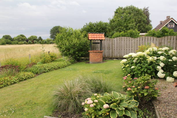 istock a flower garden with hydrangeas and a green lawn 1413125211