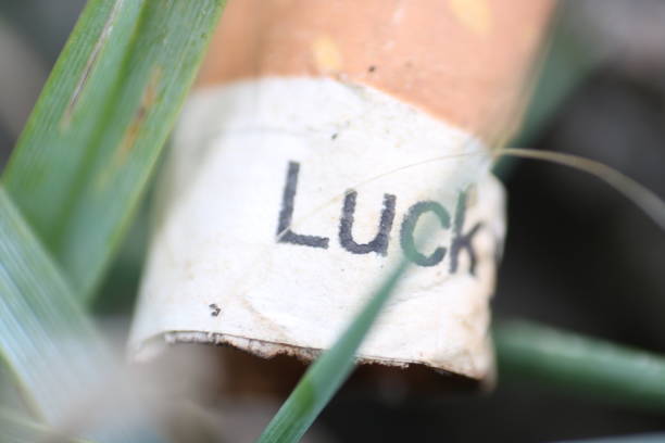 istock Macro Close up highlighting the word luck on a cigarette butt thrown on the grass. 1413126887