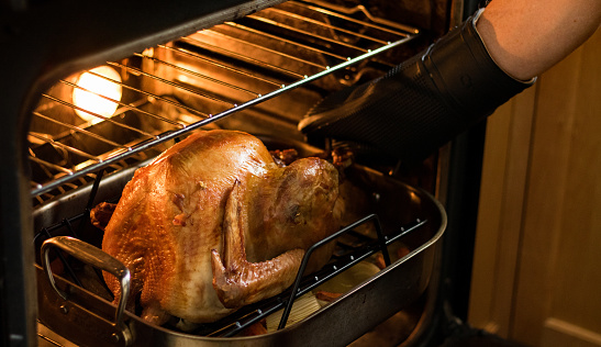A person removes a roasted turkey from the oven in preparation for Thanksgiving dinner.
