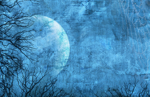 A moon framed by the branches from a bare tree against a blue grungy background.