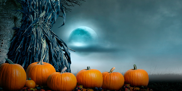 A row of pumpkins rest at the base of a bundles corn stalk that sits in a field on the night of a full moon.