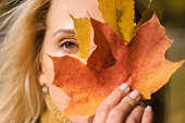 Attractive blonde woman in a yellow sweater is covering half of her face with a yellow and orange maple leaves in the autumn park.Autumn concept.Beauty in nature.