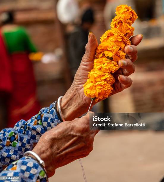 Hands And Flowers Stock Photo - Download Image Now - Art, Asia, Blossom