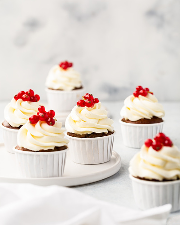 Vanilla cupcakes on white wood background, copy space