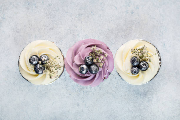 Vanilla cupcakes decorated with cream cheese frosting and fresh blueberries on a white background stock photo